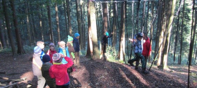 Das „Abenteuer Bergwald“ der Klasse 4b